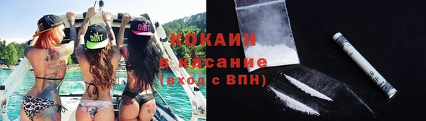 apvp Богданович