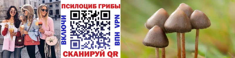 Галлюциногенные грибы Magic Shrooms  Горняк 